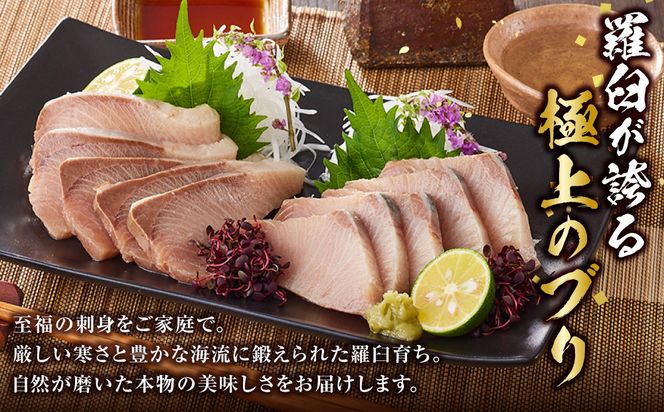 羅臼産刺身用ブリ　1kg 016942_AJ061