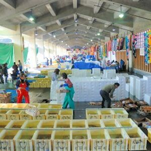 【ふるさと納税】源泉かけ流しの湯・七釜温泉 蟹の宿『七釜荘』平日宿泊限定(休前日除く)・2名宿泊券(1泊2食)【1354080】