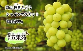 越冬 ぶどう シャイン マスカット 1房 約900g 岡山県産 四代目 五果苑