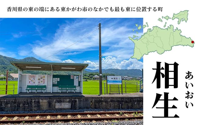 コンテナハウス一棟貸しの宿【The Villa AIOI】宿泊券（1名様） 旅行 