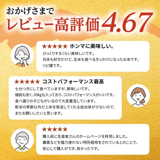 令和7年産 まっしぐら 玄米 30kg [H.GREENWORK] 青森県 鯵ヶ沢産 / お米 こめ おこめ ごはん 大容量 備蓄 健康 津軽