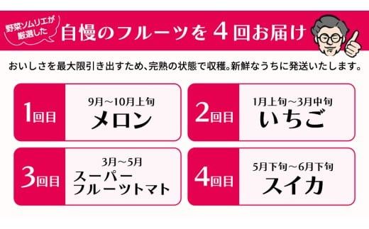 【 野菜ソムリエ 厳選 】 旬 の フルーツ 定期便 ( アールスメロン スタート ) 4回 先行予約 果物 いちご イチゴ 苺 とちおとめ やよいひめ かおり野 すいか 小玉スイカ ピノガール トマト フルーツトマト メロン アールスメロン 新鮮 おすすめ ソムリエ 野菜 [AF097ci]