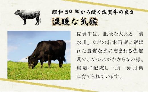 【佐賀牛】モモスライス 800g (200g×4P) E-288