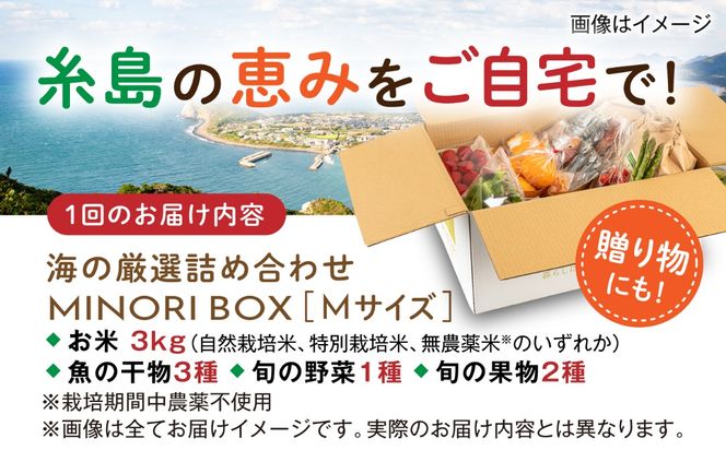 【全3回定期便】糸島産 魚 米 野菜 果物 厳選詰め合わせ MINORI BOX Mサイズ 糸島市 / emma.Inc / 米 魚 野菜 果物 詰め合わせ[AOP024]