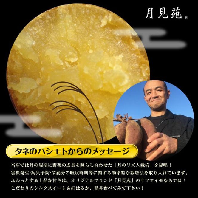 【先行予約】【2026年11月より順次発送開始】【訳あり】紅はるか 約10kg｜さつまいも 芋 お芋 わけあり 訳あり 紅はるか タネのハシモト 茨城県 行方市(BS-23)