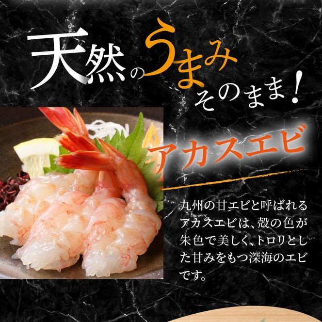 マルナカさんちのぷりっぷり無頭アカスエビ　N065-YZA0208