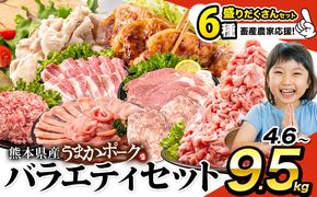 数量限定★生産者応援★ 豚肉 小分け バラエティ セット うまか ポーク しゃぶしゃぶ 切り落とし 豚ロース バラ 豚バラ 豚バラ肉 スライス 選べる 4.6kg 9.2kg 4kg 以上 真空 お楽しみセット 不揃い 数量限定 簡易包装 冷凍配送 《30日以内に出荷予定(土日祝除く)》---fn_fozpfs_r7_30d_15000_4600g---