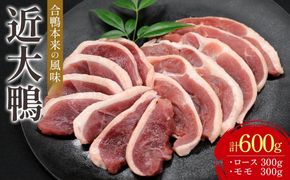 近大鴨 合計600g ロース 300g モモ 300g セット   M007
