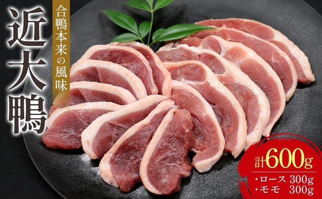 近大鴨 合計600g ロース 300g モモ 300g セット   M007