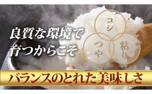 スピード発送!! （最短2日～7日程度で発送） 【選べる 品種 ＆ 内容量 ＆ お届け回数】茨城県 筑西市産 米 5kg 10kg 定期便 令和7年産 新米 三ツ星 マイスター お米 コメ こしひかり にじのきらめき 単一米 精米 スピード配送 [CH004ci]