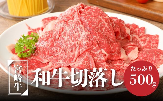 y{茧؏钬z{苍@a@؂藎Ƃ500g K01_0009_1