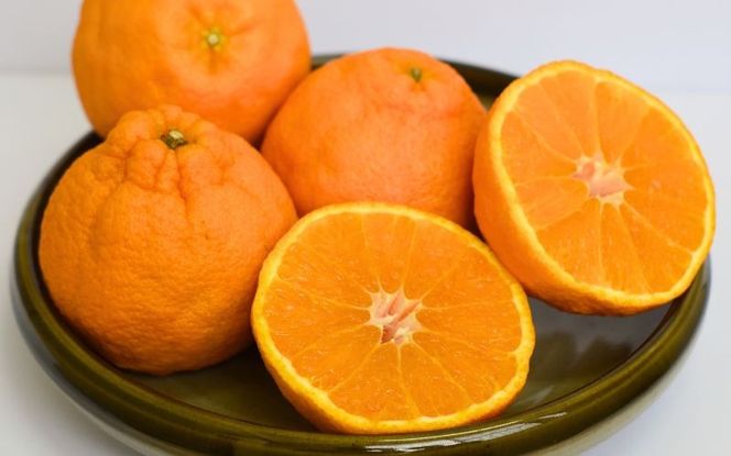 みかん 不知火 たにぐち農園の完熟不知火 ご家庭用 ちょこっと訳あり 5kg【2026年2月中旬から3月下旬までに順次発送】 / くだもの フルーツ 果物 わけあり 訳あり 家庭用 ご家庭用 不知火 みかん 蜜柑 デコポン 人気【mtn010B】