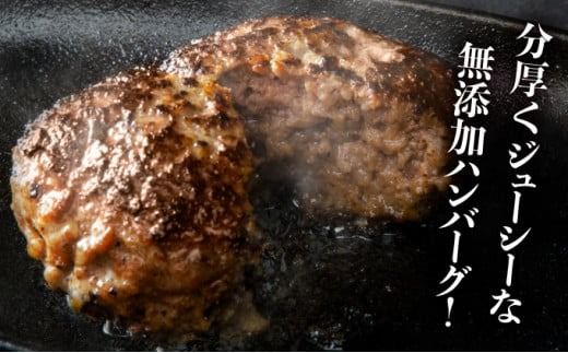 《2025年5月配送》老舗55年【佐賀牛入】黒毛和牛ハンバーグ がばいばーぐ 6個　A-93-I