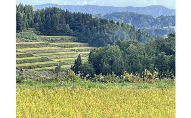 【令和8年産 先行予約】9カ月 定期便 日本棚田百選のお米 天空の里 魚沼産 こしひかり 20kg(5kg×4)×9回 米 お米 コメ