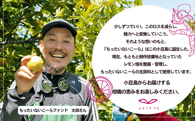 【 小豆島 】島柑橘が主役！もったいないこーら クラフトコーラシロップ 300ml×3本セット 果実 柑橘 飲料 ドリンク