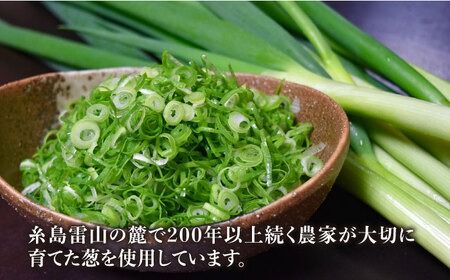 糸島葱香 パスタ 350g 5人分 糸島市 / Carna スパゲッティ 乾麺 [ALA048] 手延べ モチモチ スパゲッティ スパゲティ ねぎ ネギ 葱 乾麺 国産小麦