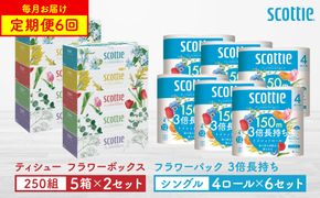 【定期便6回】【毎月お届け】【スコッティ】 ティシュー フラワーボックス 250組（5箱パック×2セット）＋フラワーパック 3倍長持ち（4ロール（シングル）パック ×6セット） ティッシュ ストック