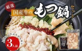 【食肉総合卸 丸正】厳選国産牛のもつ鍋セット（3人前） ［153M16］ 