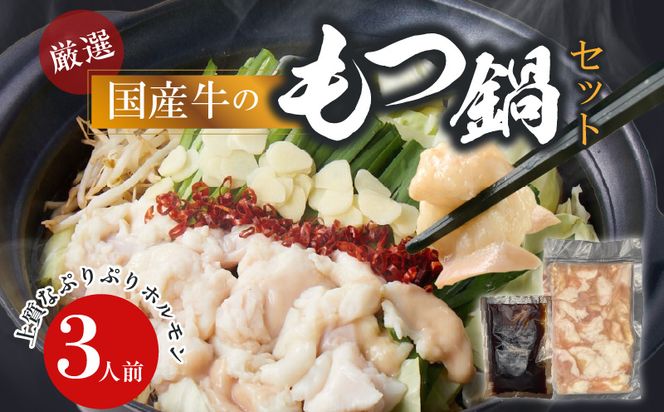 【食肉総合卸 丸正】厳選国産牛のもつ鍋セット（3人前） ［153M16］ 