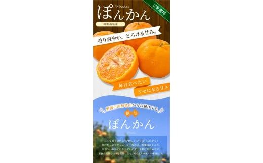 【ご家庭用】手選別 ぽんかん 約1.5kg 和歌山県産 2S~2Lサイズ混合※2026年1月上旬～2月上旬頃に順次発送【mrmt011】