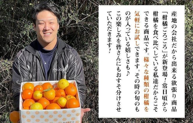 旬の柑橘食べ比べ 柑橘ごろごろ 3種 箱込 2.5kg(内容量 2.3kg) 秀品 優品 混合 和歌山県産 産地直送 【おまけ付き】【みかんの会】 AX150