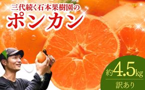 【先行予約】訳あり 石本果樹園の美味しい ポンカン 約4.5kg 20～25玉【1月初旬から２月初旬までに順次発送】 / みかん フルーツ くだもの 果物 ポンカン ワケあり 家庭用【min017】