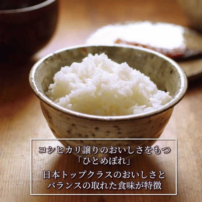 【2ヶ月定期便】岩手県産 一等米・ひとめぼれ（精米）10kg×2回[56500602_2]