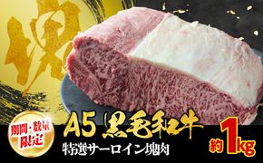 【期間・数量限定】大府市特産　A5黒毛和牛特選サーロイン塊肉　1.0kg 232238_N058