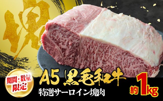 【期間・数量限定】大府市特産　A5黒毛和牛特選サーロイン塊肉　1.0kg 232238_N058