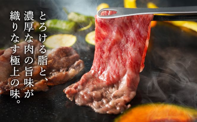神戸牛 焼きしゃぶ 1kg（肩ロース500g・ブリスケ500g）/ 焼きしゃぶ用 焼き肉 焼肉 牛肉 スライス うす切り 冷凍 国産牛 ブランド牛【帝神志方ミート】