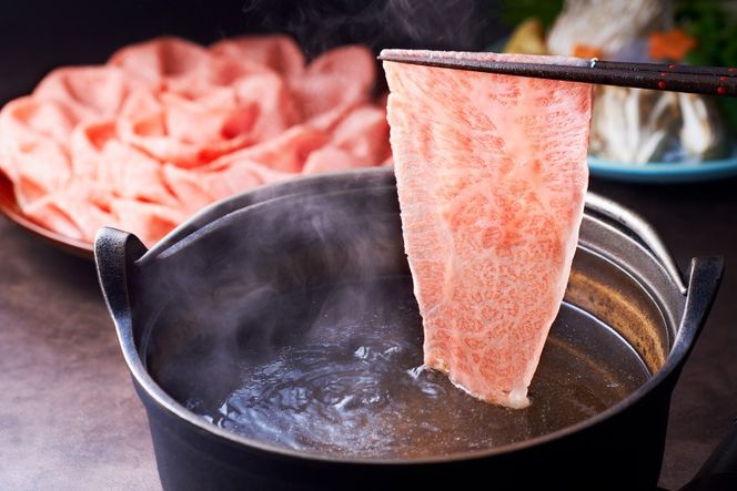 肉 博多和牛 人気6種 満喫 6回 定期便 牛肉 [久田精肉店 福岡県 宇美町 um40bsi440055] 牛肉 和牛 国産 うし お肉 ステーキ 焼肉 赤身 小分け スライス シャトーブリアン ヒレ ロース ステーキ ハンバーグ 冷凍