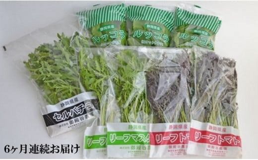 yÉ}sz 6 Y n[u  lߍ킹  450g 4 8 Zbg × 6 ͂ bR  50g × 3 [tg}g Ԃ炵  50g × 2 [t}X^[h 炵  50g × 2 Zo`R  100g × 1   T_ VN Yn _
