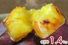 ★少し大きめサイズ★熟成紅はるか冷凍焼き芋約1.2kg＋おまかせ品種さつまいも 合計約1.4kg｜さつまいも サツマイモ さつま芋 焼き芋 やきいも 冷凍 冷凍焼き芋 紅はるか 茨城県 行方市(EY-3)