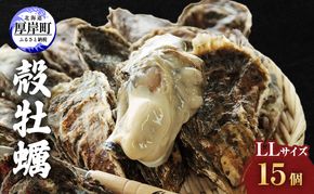 牡蠣 厚岸産殻牡蠣 LLサイズ 15個 セット 魚介類 産地直送 生牡蠣 オイスター 海の幸 海鮮 生食用 生食用牡蠣 