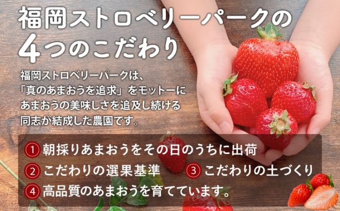 訳あり いちご 2027年2月下旬より発送 あまおう サイズ色々 8パック 約2.28kg 配送不可 離島 果物 フルーツ 福岡県特産 デザート おやつ 産地直送 