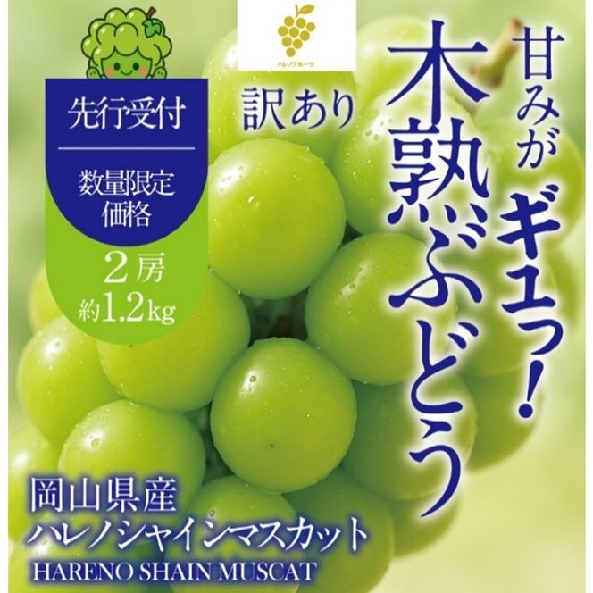 先行予約 訳あり 木熟ぶどう ハレノシャイン シャインマスカット 2房 約1.2kg 10月～11月発送 皮ごと食べる みずみずしい 甘い フレッシュ 冷蔵 晴れの国 おかやま 果物大国 ご家庭用 ハレノフルーツ