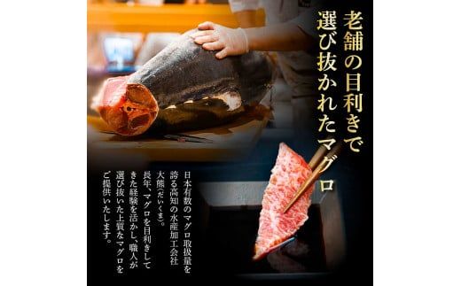 本鮪 中トロ500g・赤身200g 合せて700g 赤身と中トロのセット【株式会社大熊】 [BQAA047]