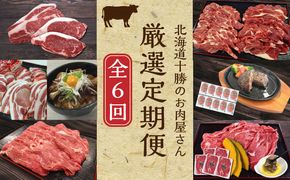 北海道十勝のお肉屋さん厳選定期便【全6回】 ハンバーグ 牛肉 ステーキ ジンギスカン 