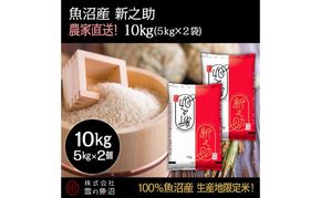 令和7年産！魚沼産 新之助【農家直送!】5kg×2袋 お米 米 コメ 