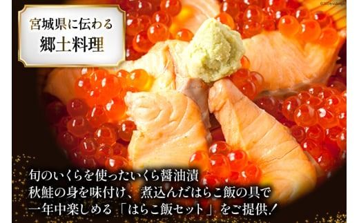 魚介 セット 南三陸郷土食 いくら醤油漬 はらこ飯の具 各2本 計4本 セット [ヤマウチ 宮城県 南三陸町 30at0003] 小分け 個包装 いくら イクラ 醤油漬 はらこめし 鮭 サケ シャケ 国産 おかず 人気 オススメ