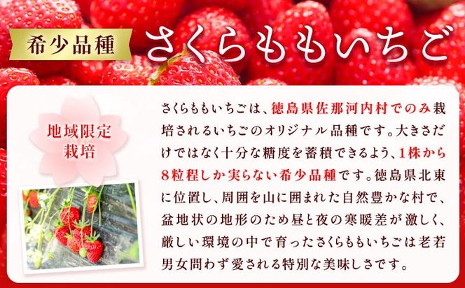 y߉͓zyCFz̃RtB`[@180g×2(r) s30ȓɏoח\(yj)t ---sanagouchi_tkw_1_360g---