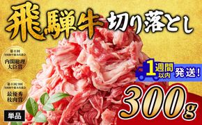 飛騨牛切り落とし 300g｜牛肉 和牛 国産 瑞穂市 岐阜県 ※離島への配送不可