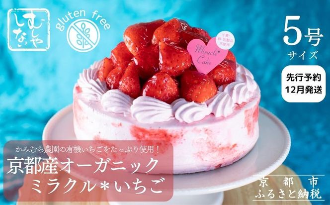 ys{sszys\zs2025N12tyނ₵ȂzsYI[KjbN~N(5F4`6l)m s 掛  NX}XP[L Oet[ B[K AM[Ή lC   z[P[L  ʔ ӂ邳Ɣ[ n 2