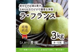 完熟こだわりラ・フランス 3キロ（ひかり農園） 312011_EN004