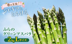 【2027年春発送】富良野産 グリーンアスパラ Lサイズ 約2kg アスパラ 野菜 アスパラガス
