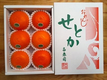 ya̎RLc쒬zn[t ϔ k̑g nEX Ƃ I 6ʓ ׉  BS154