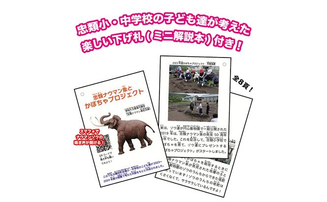 [北海道 幕別町]学芸員監修＆子どもたちと作った！忠類ナウマンゾウぬいぐるみ1体 キーホルダー1体 トレカ付き（小中学生制作のオリジナル学びの下げ札付き）[道の駅忠類]【 ぬいぐるみ おもちゃ ふわふわ もこもこ ギフト プレゼント 十勝 】