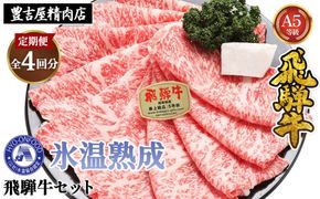 【3ヵ月毎定期便】氷温（R）熟成飛騨牛セット　全4回 [No.902]