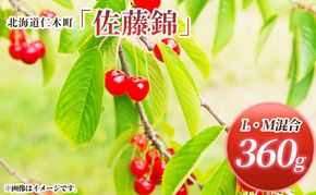 先行受付 北海道 仁木町産 さくらんぼ 佐藤錦 360g (180g×2パック) L-Mサイズ 混合  旬 桜桃 産地直送 サクランボ チェリー フルーツ 果物 果物類 仁木町 仁木 [松山商店]
