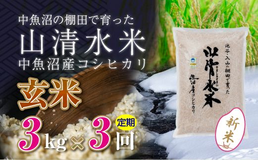 【令和8年産 新米】 【定期便／全3回】玄米3kg 新潟県魚沼産コシヒカリ「山清水米」